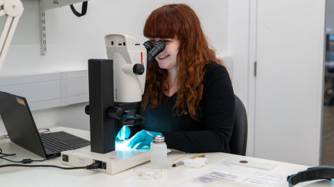 conservator looking at coins through a microscope