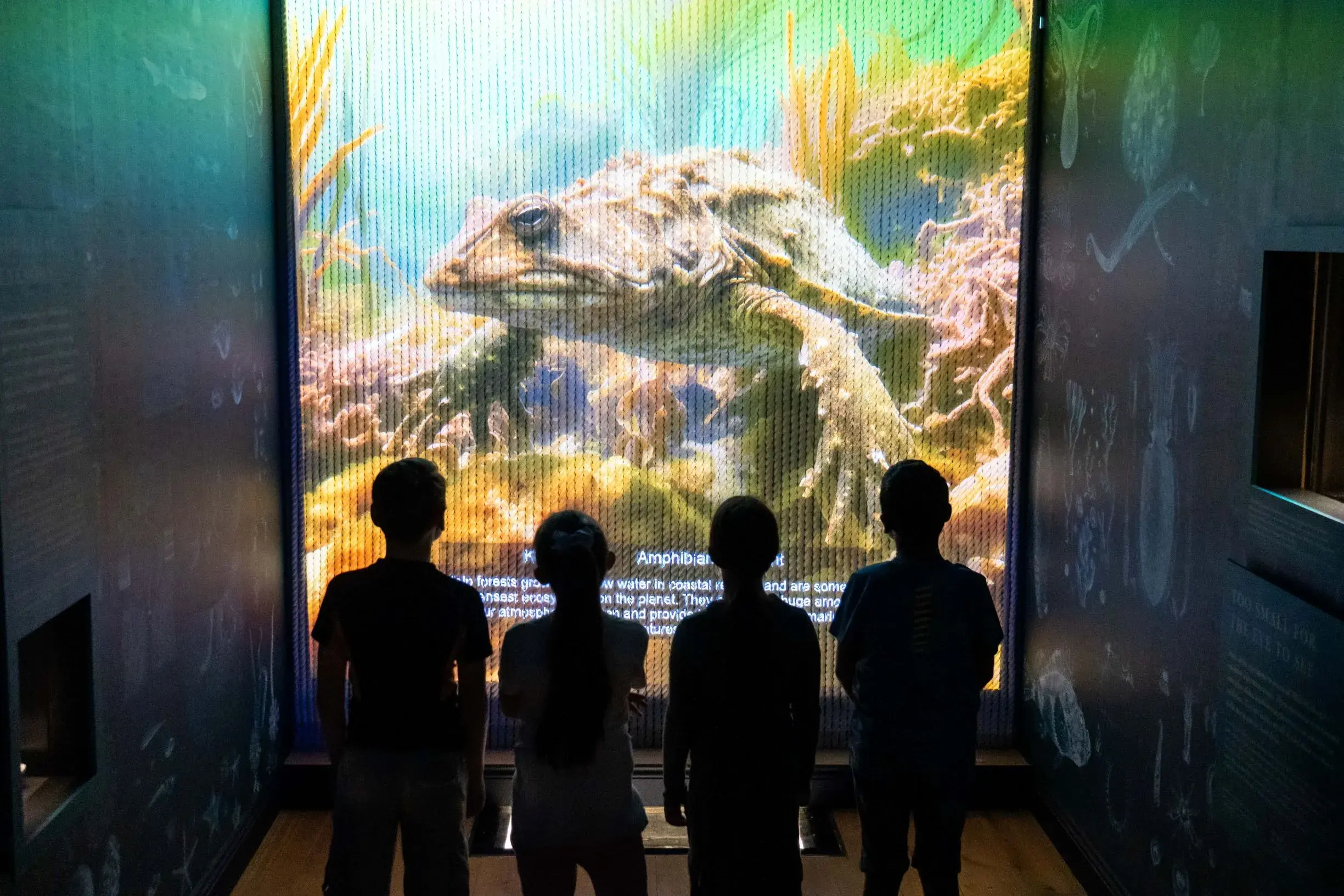 Children take in our interactive exhibition at the World Beneath the Waves gallery.